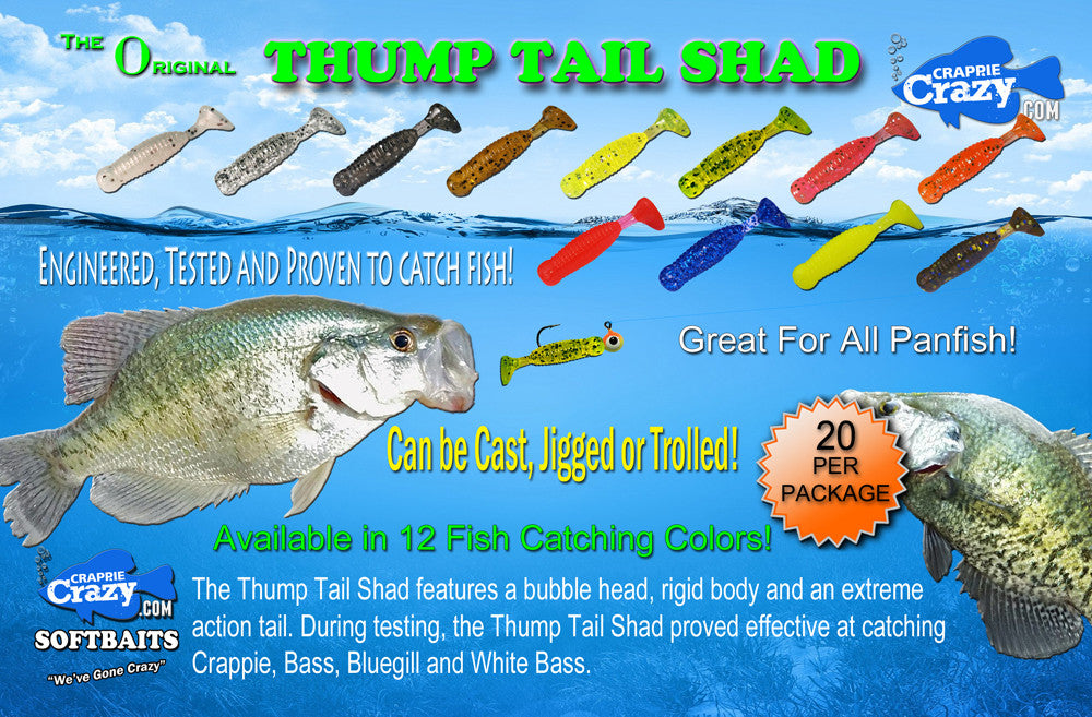 A Thump Tail Shad - 20 per pack – Crappie Crazy